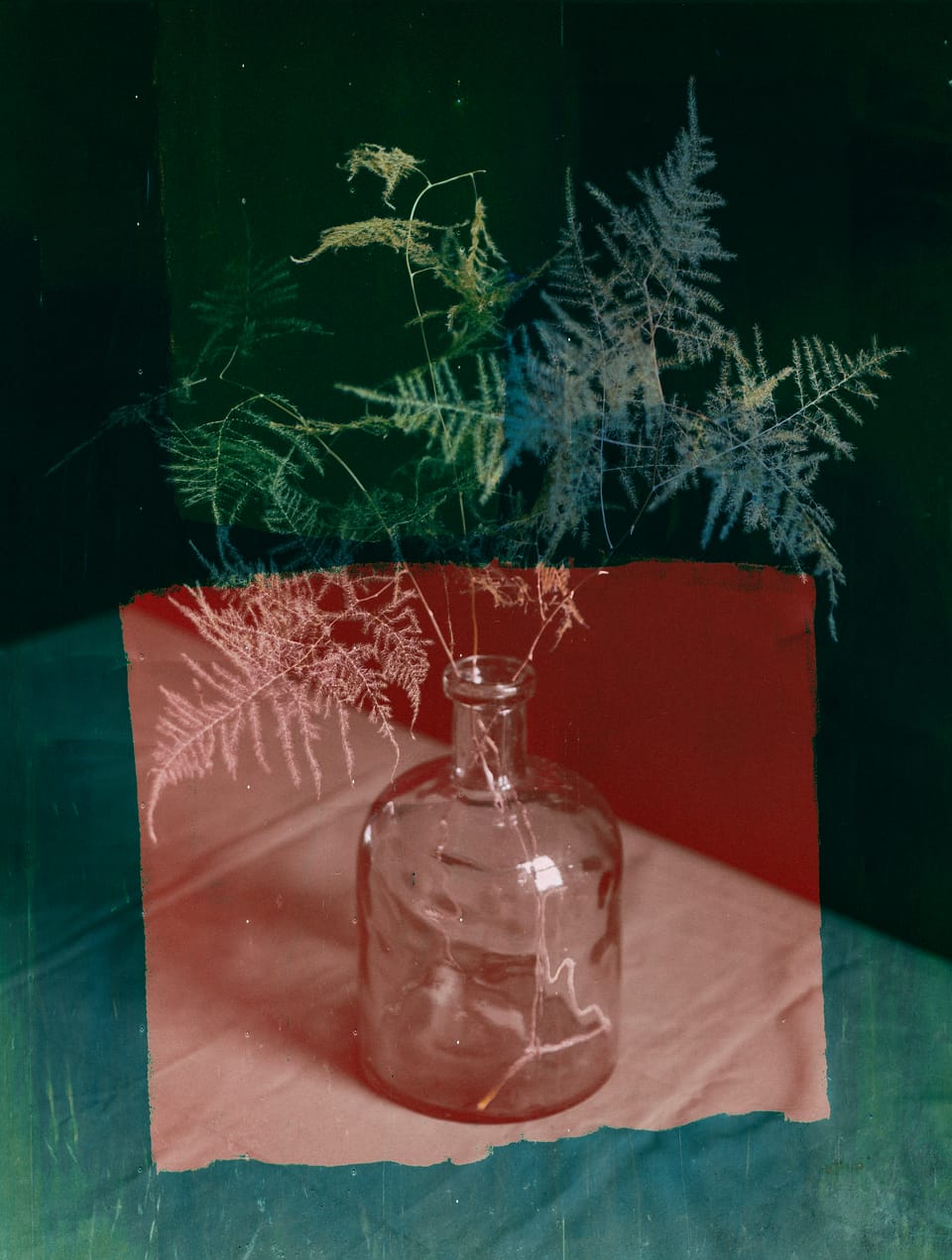 Brazil's Indigenous Peoples Deserve Better